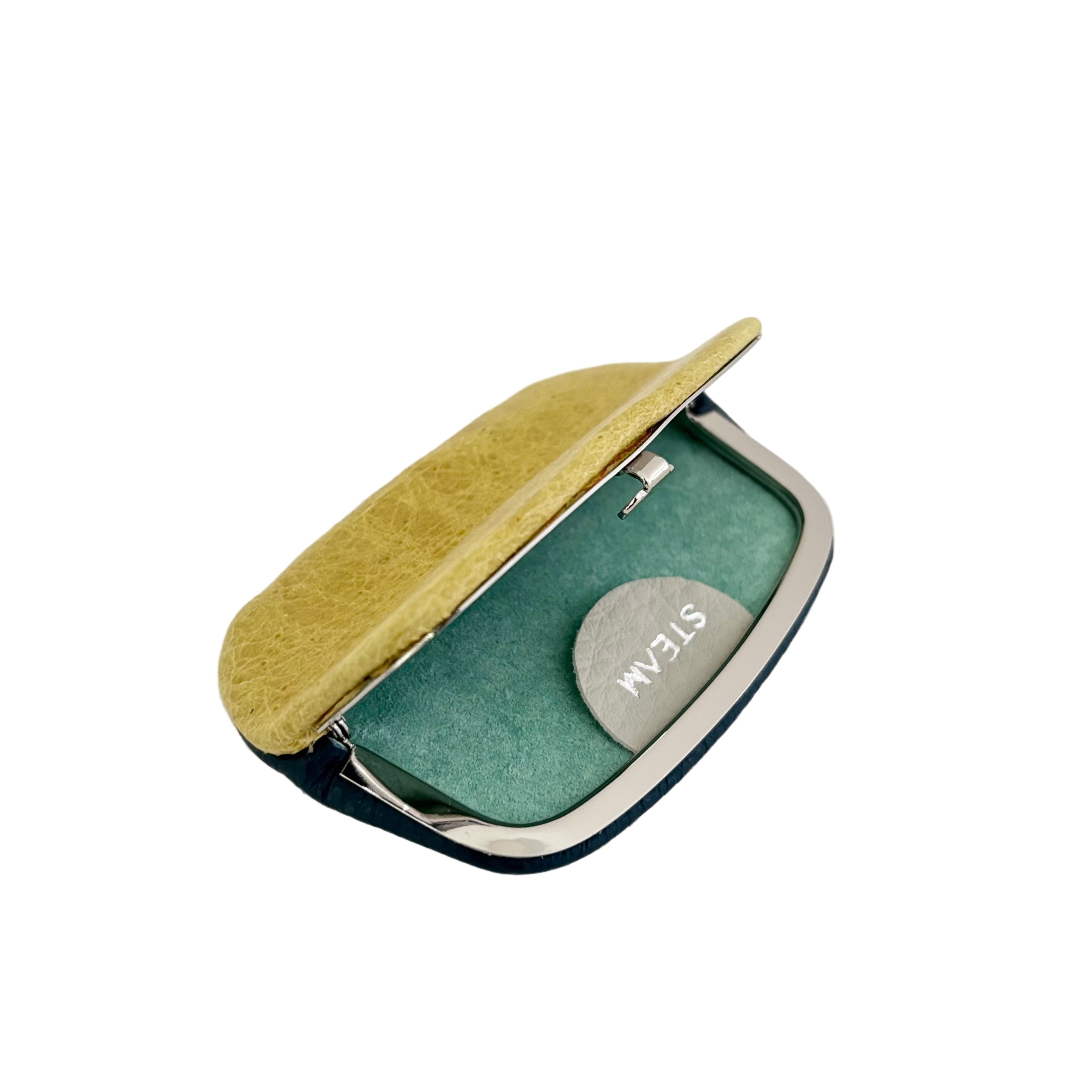 クラッシュイエロー×ディープオーシャン / パックンケースS