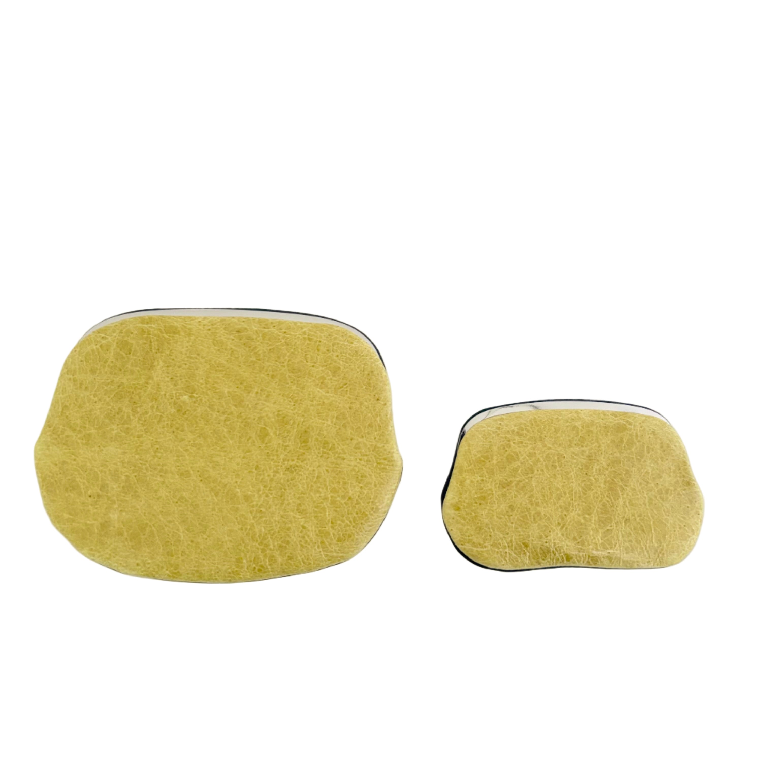 クラッシュイエロー×ディープオーシャン / パックンケースS