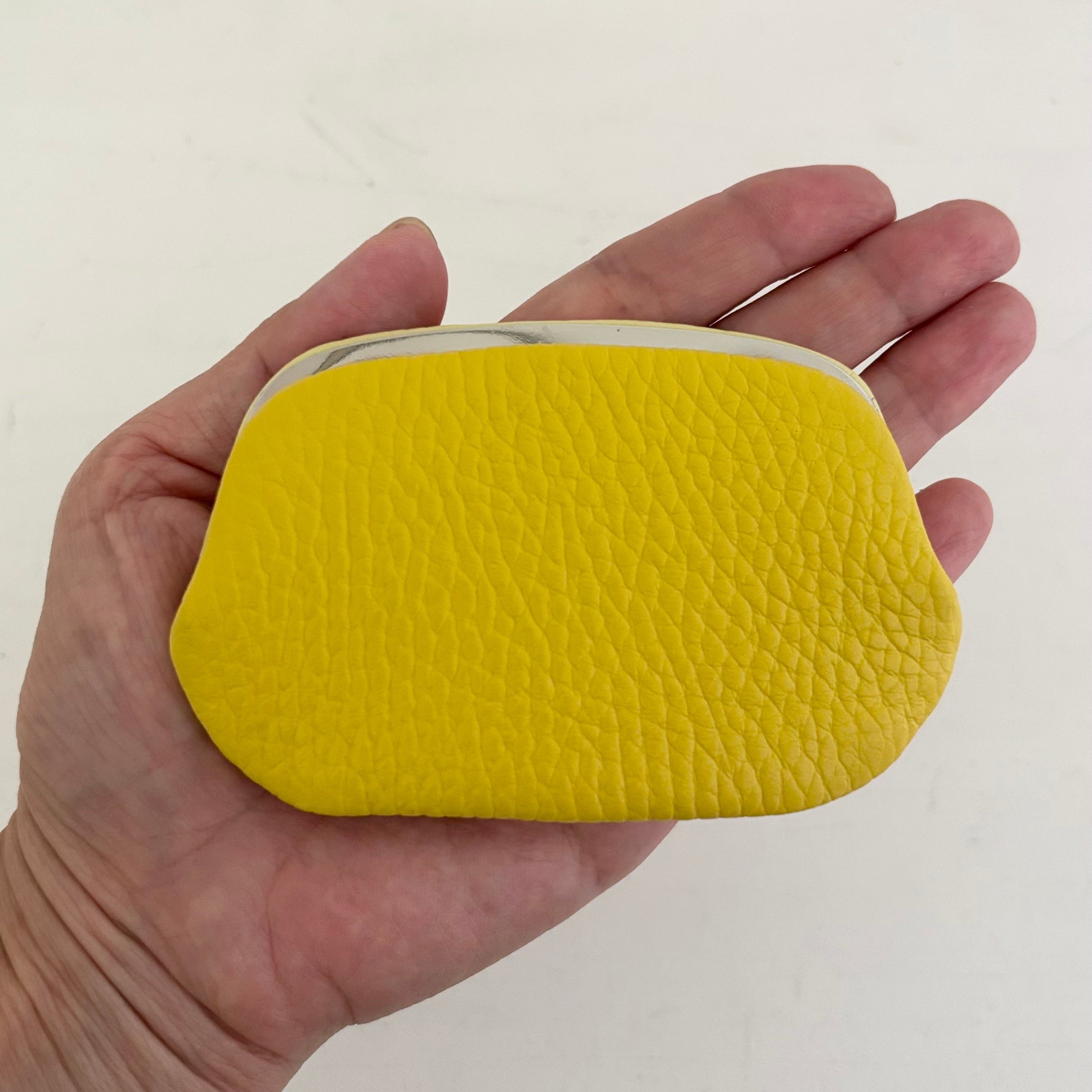 イエロー×レモンイエロー / パックンケースS