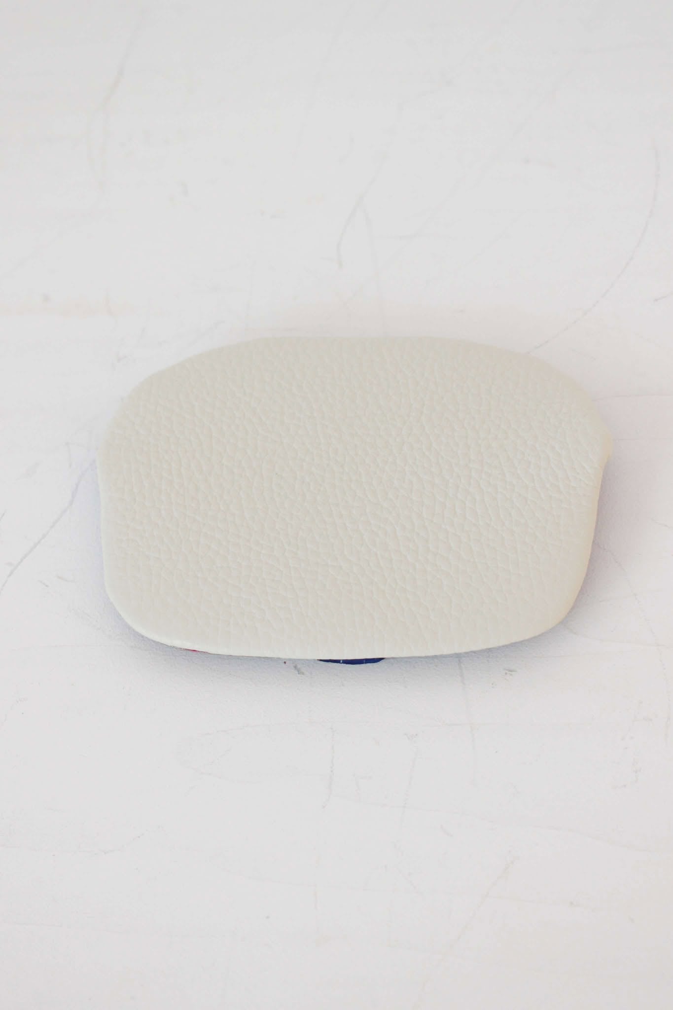 ブルーパイソン×バニラ / パックンケースM