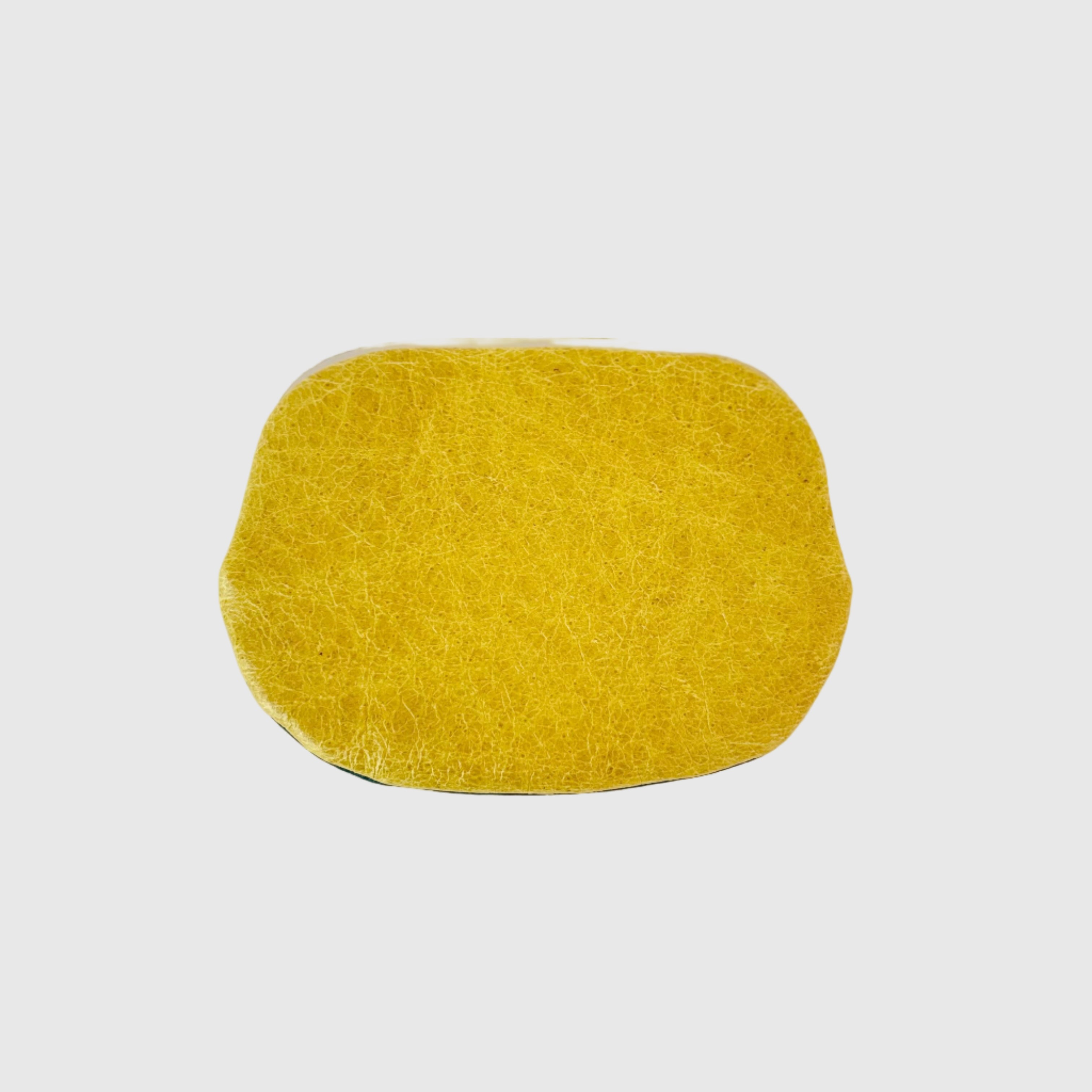 イエロークラッシュ×ディープオーシャン/ パックンケースM