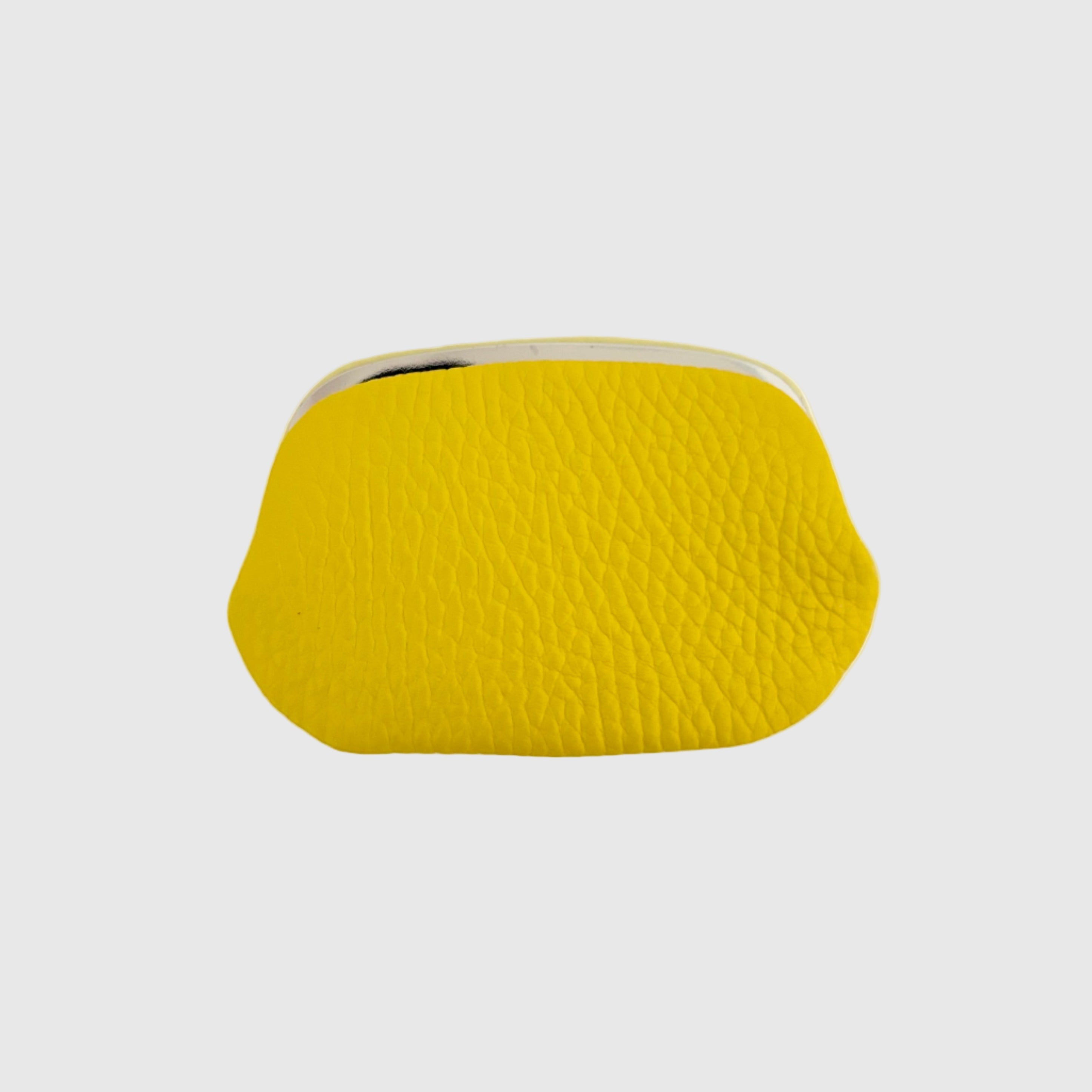 イエロー×レモンイエロー / パックンケースS