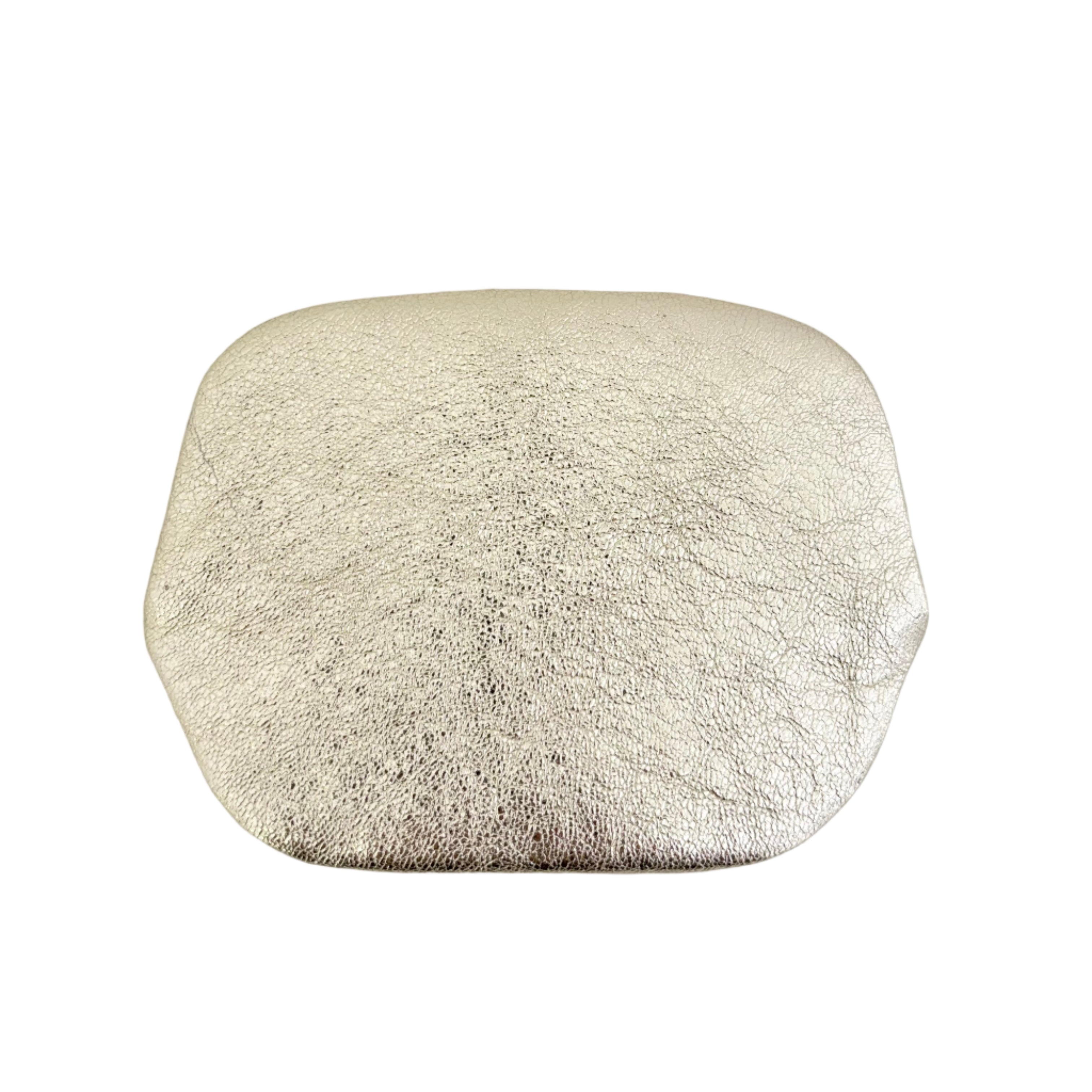 レモンイエロー×クラッシュゴールド / パックンケースM