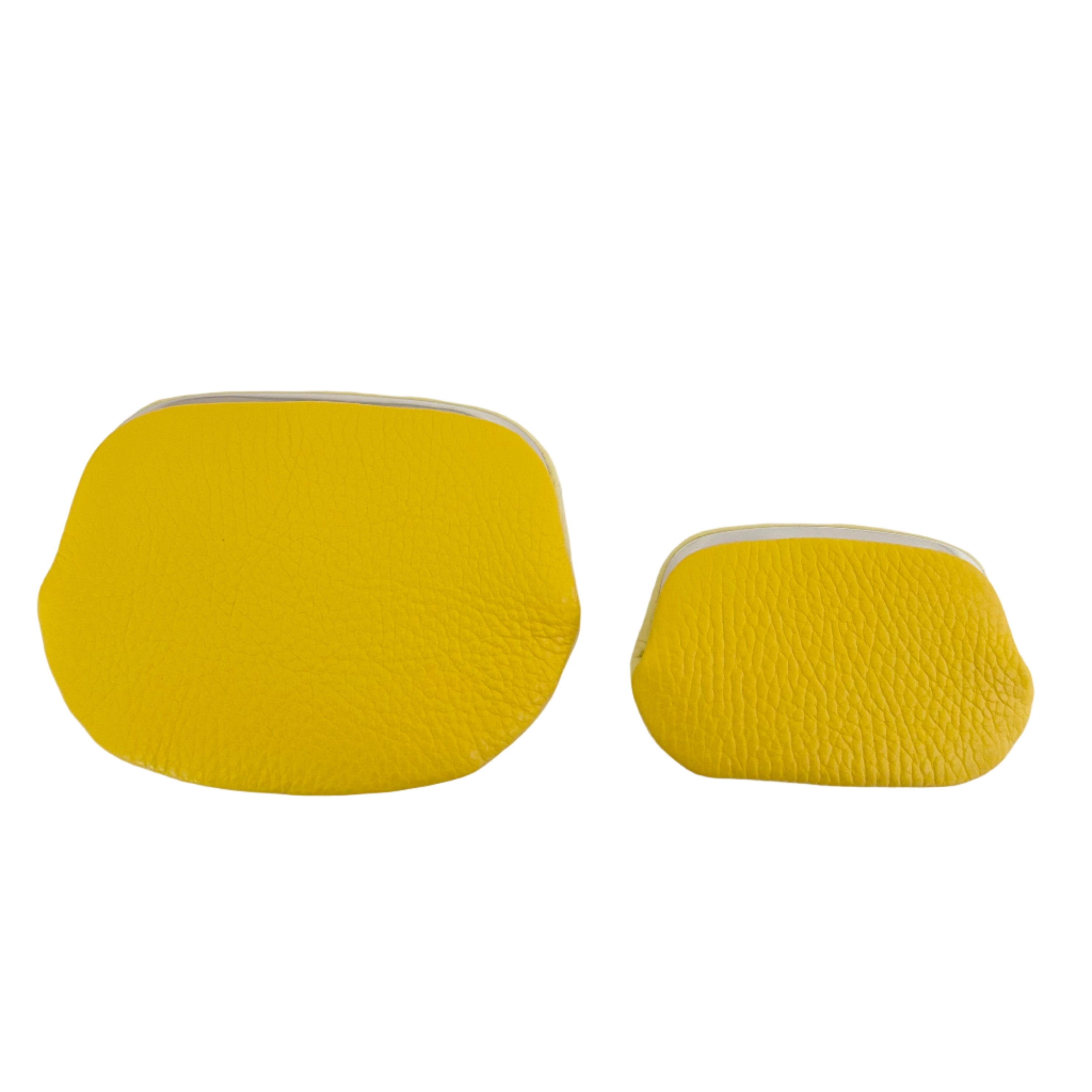 イエロー×レモンイエロー/ パックンケースM