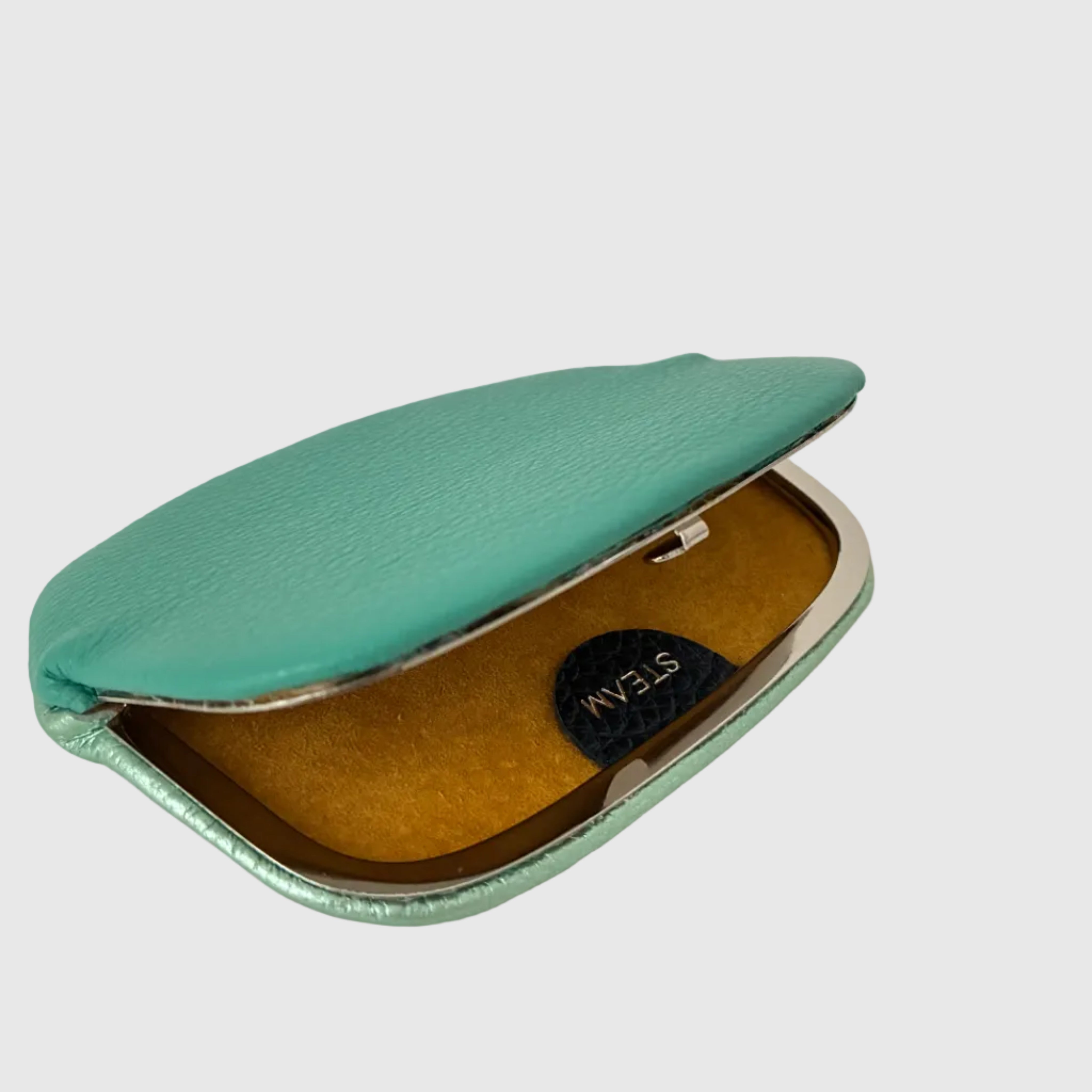 エメラルドグリーン/ パックンケースM