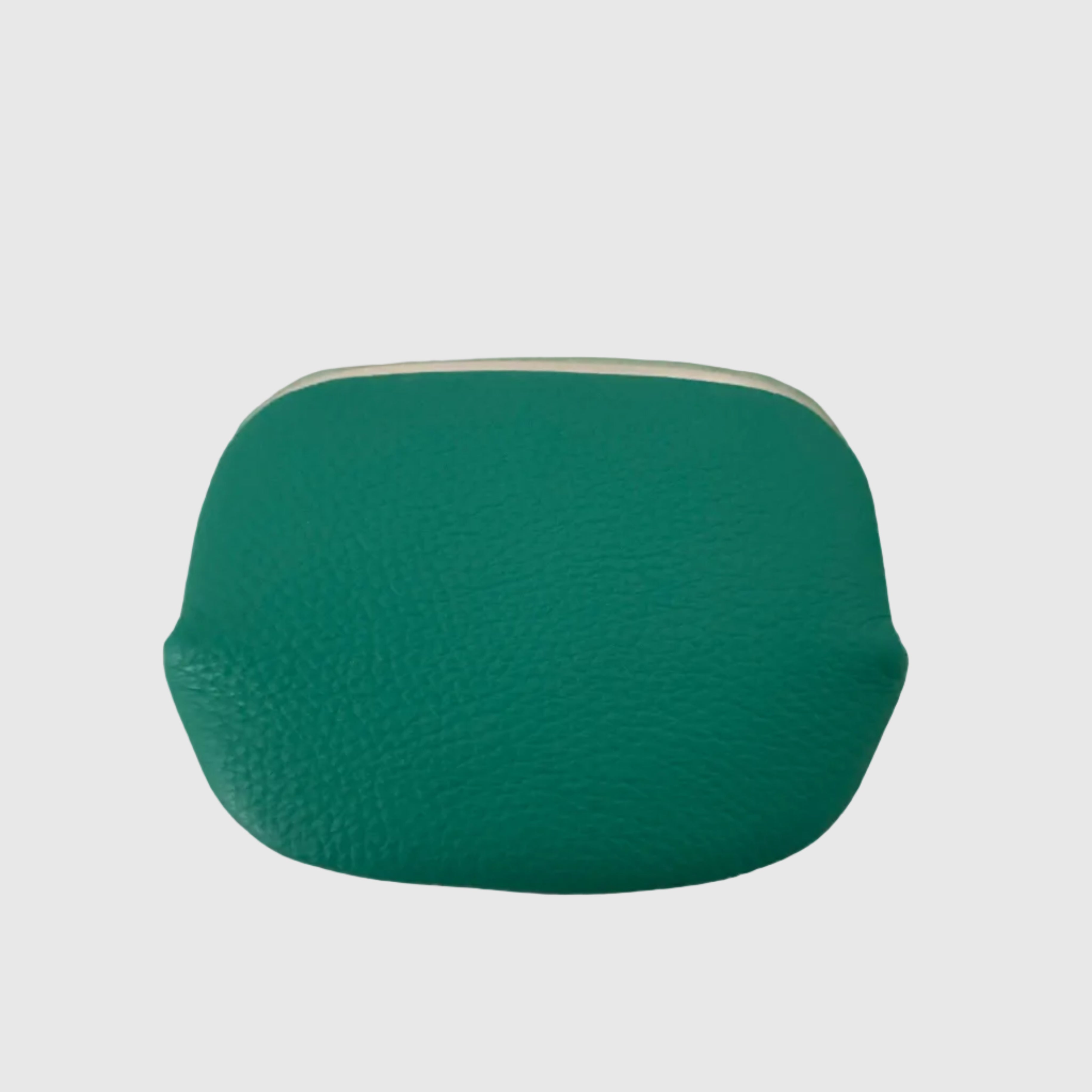 エメラルドグリーン/ パックンケースM