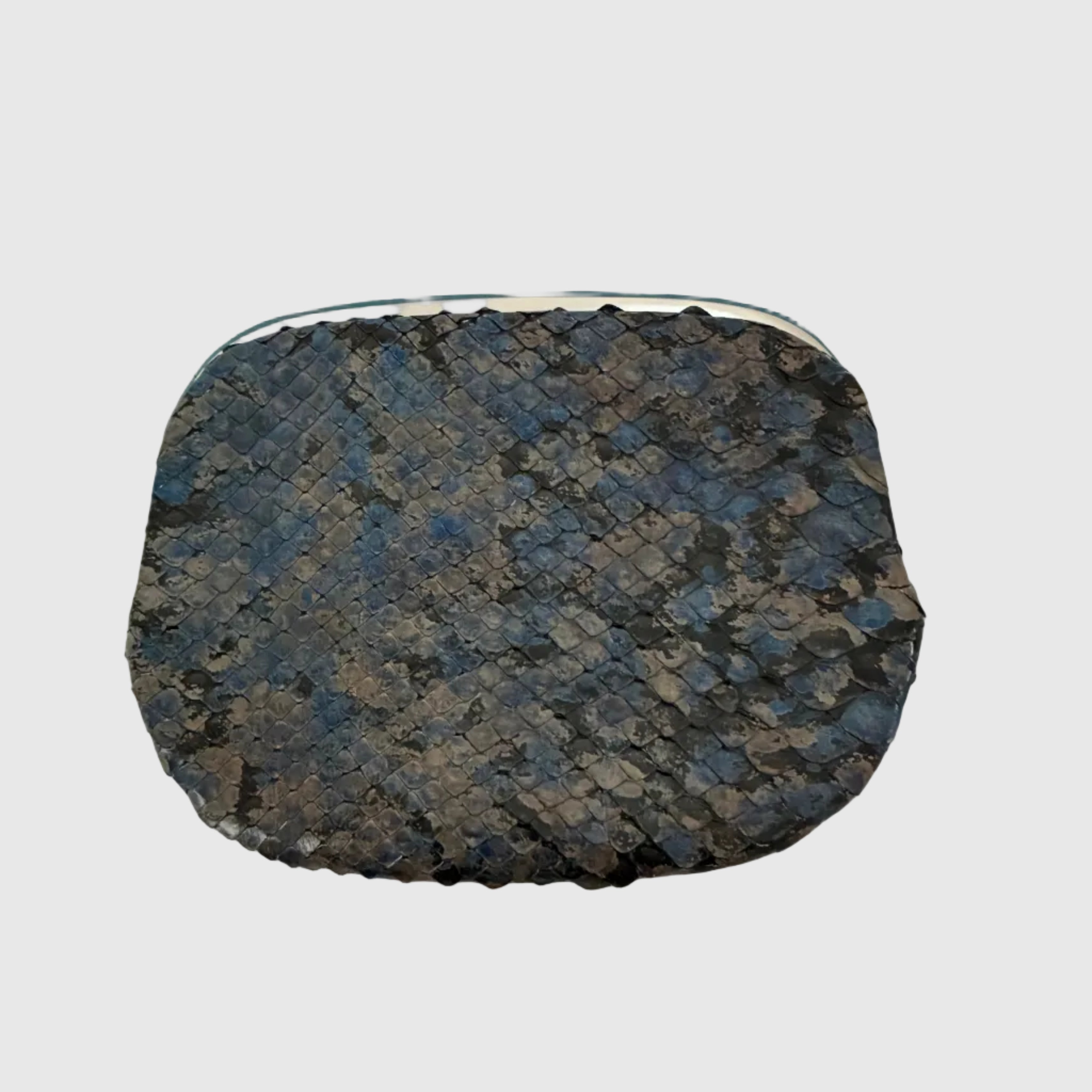 ブラックブルースネイク/ パックンケースM