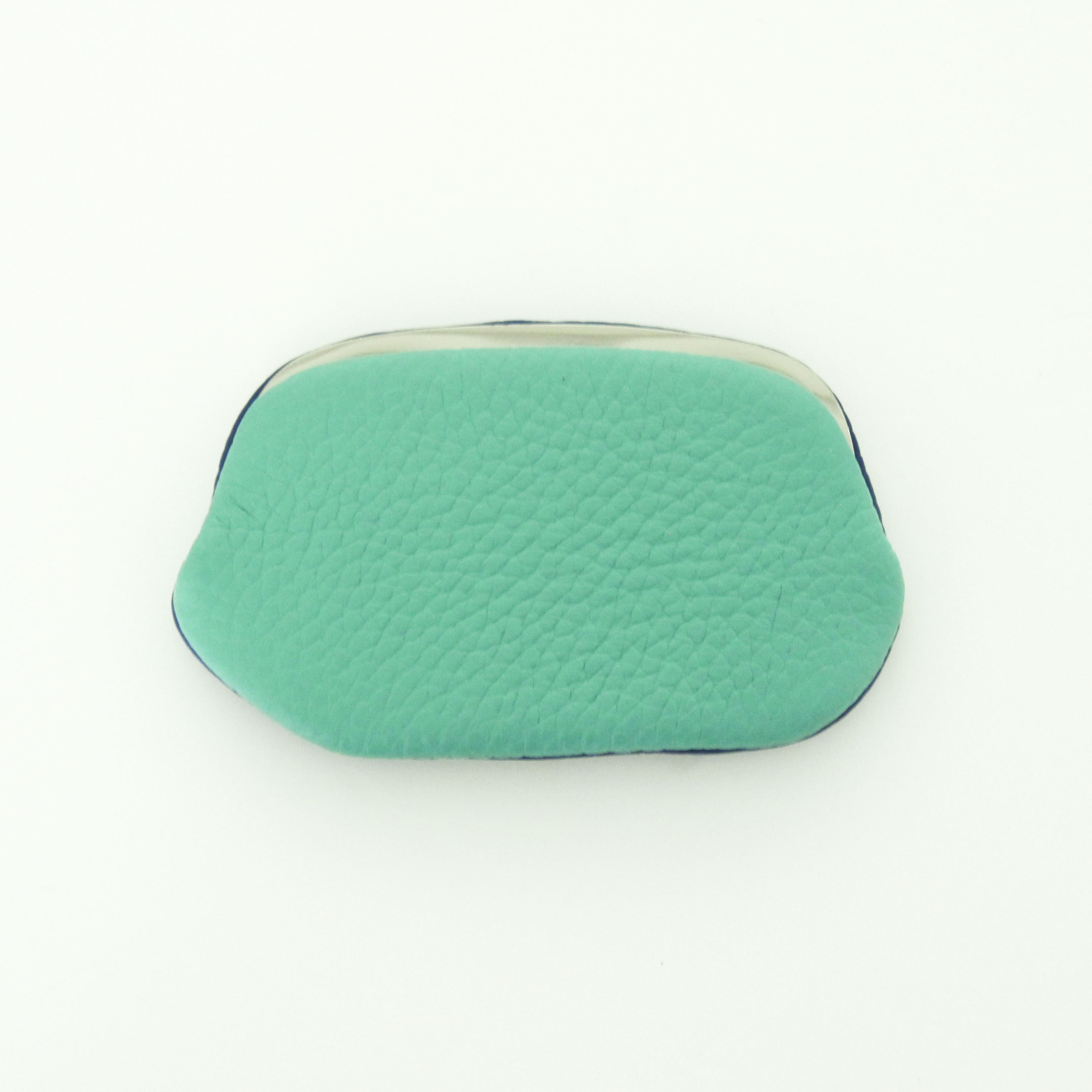 エメラルド×ロイヤルブルー / パックンケース S