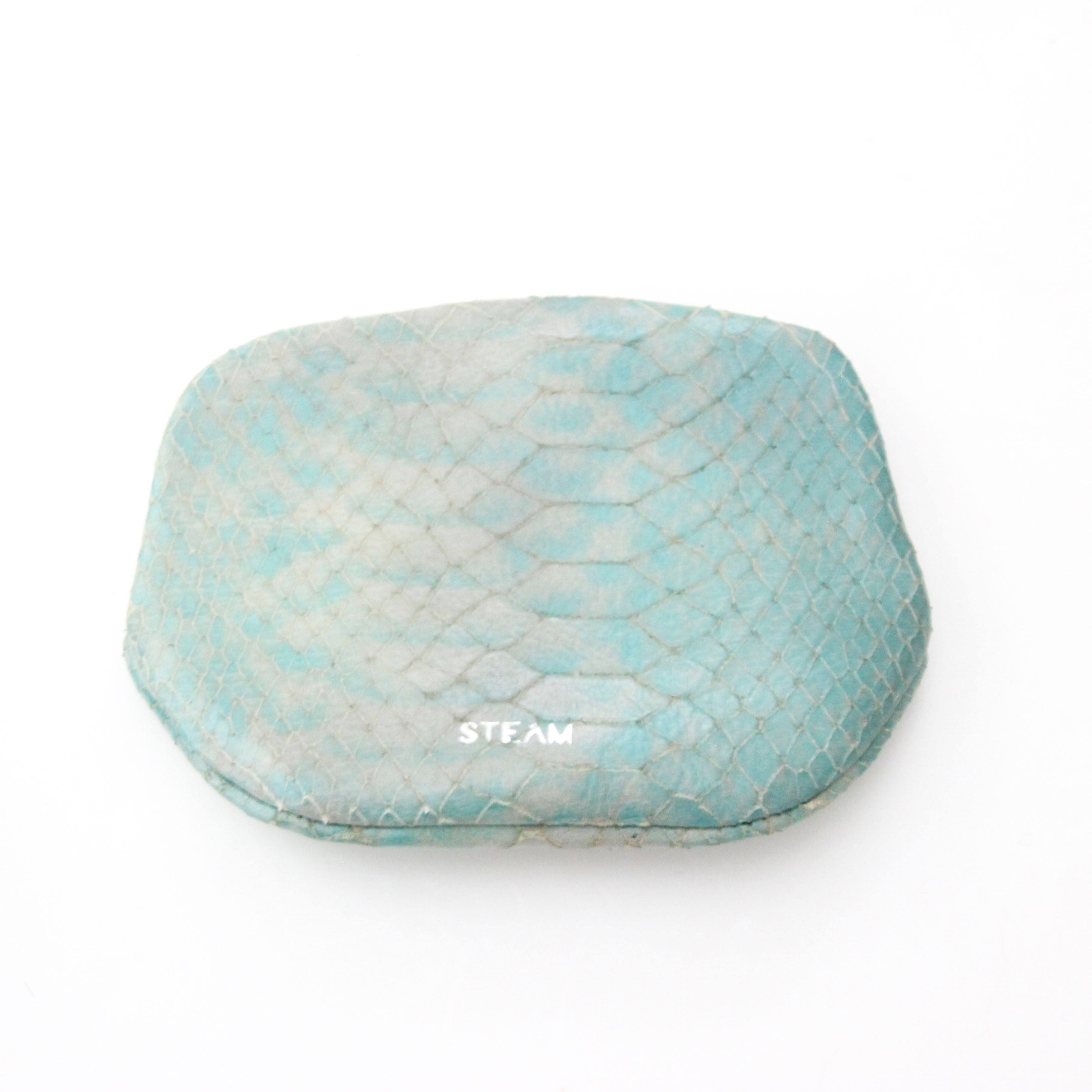 ペールグリーンUroko/パックンケースM