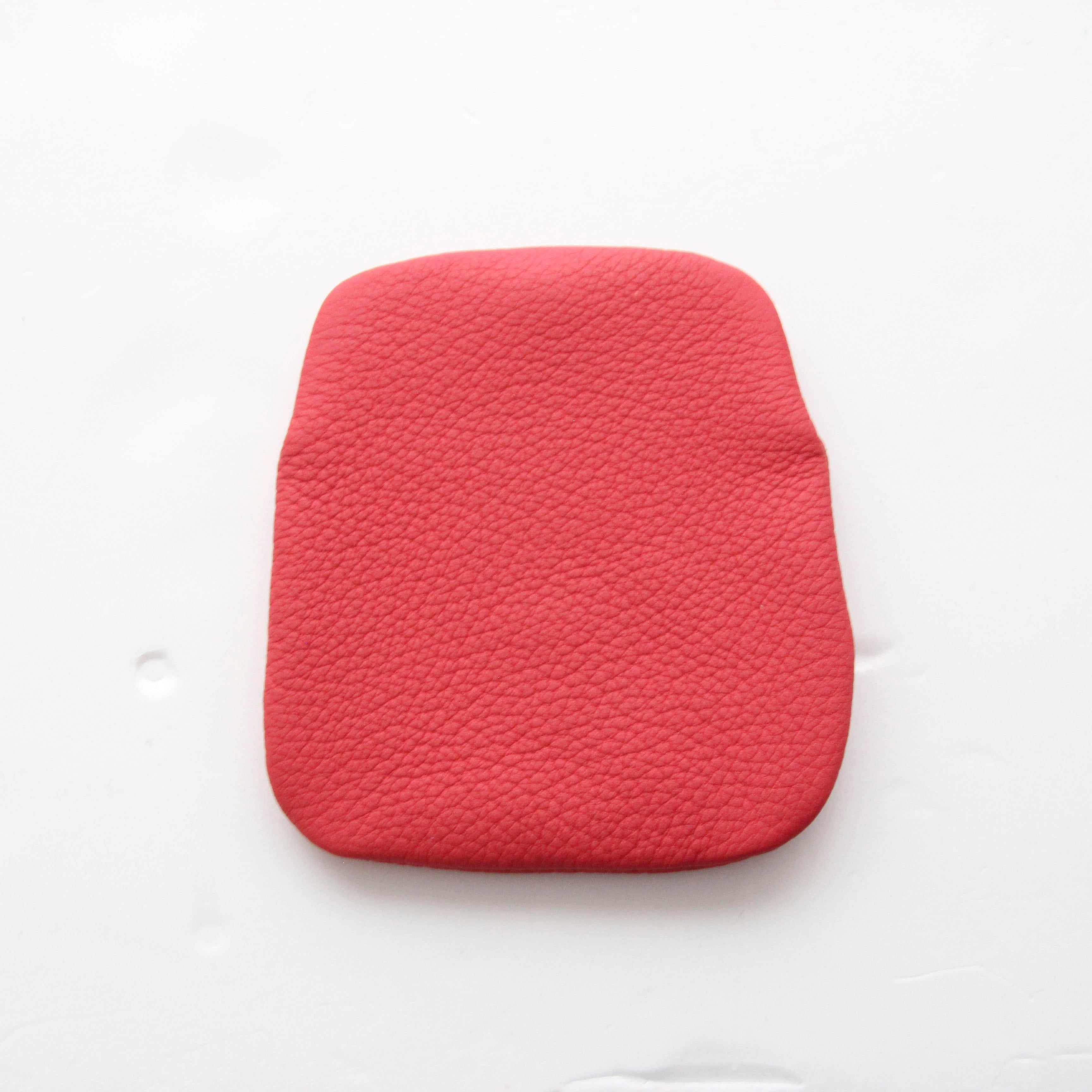 ローズ SXL / パックンケースSプラス