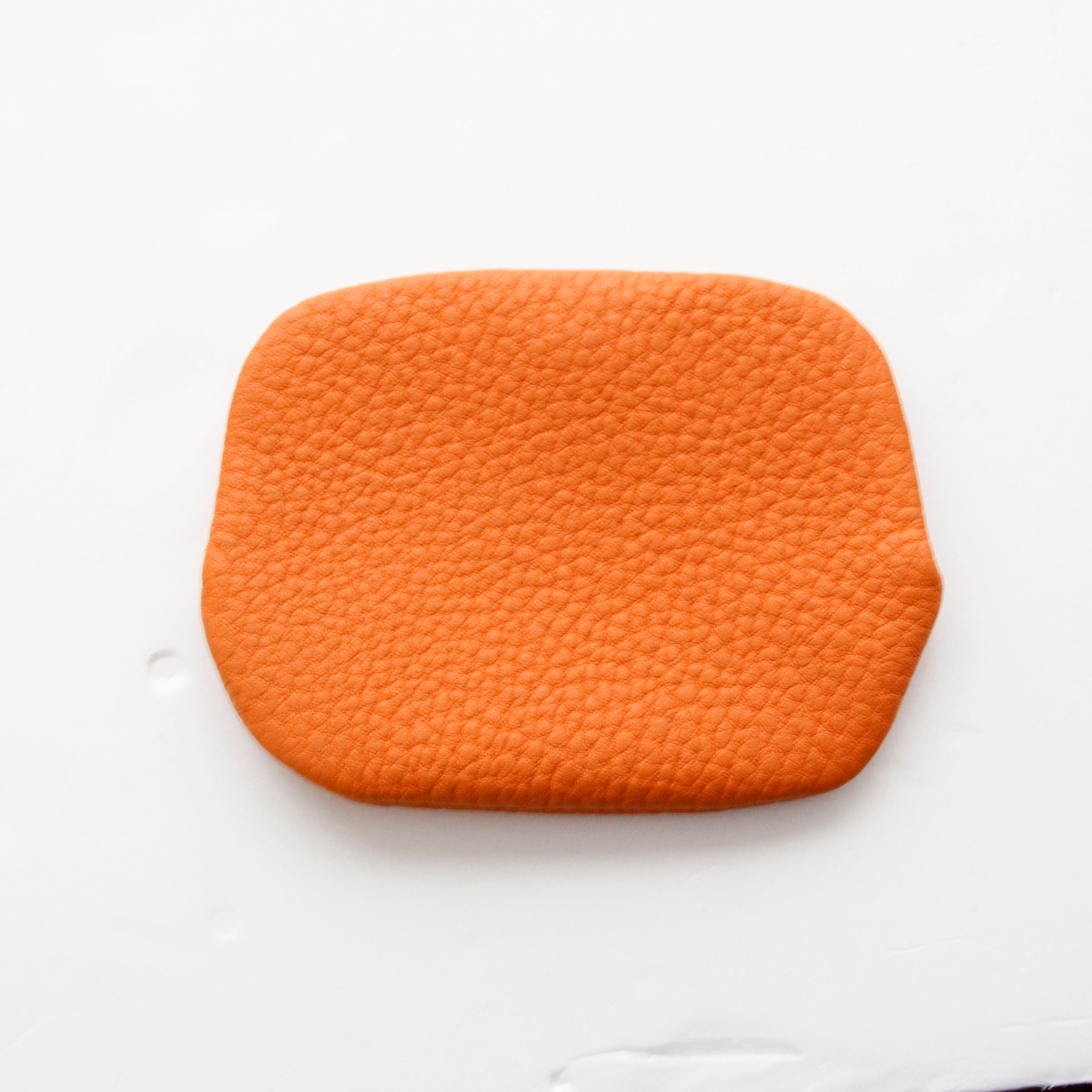 パーシモン SXL/ パックンケースM